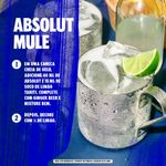 7312040017010_ABSOLUT_750ml_BB6_DRINK