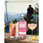 ABSOLUT-ATLAS-LIFESTYLE-RASPBERRI-2A-4X5