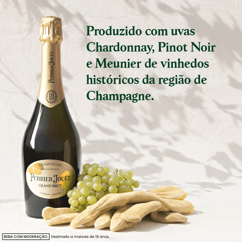 3113880105110_D_BB_DIF_PJ_GrandBrut