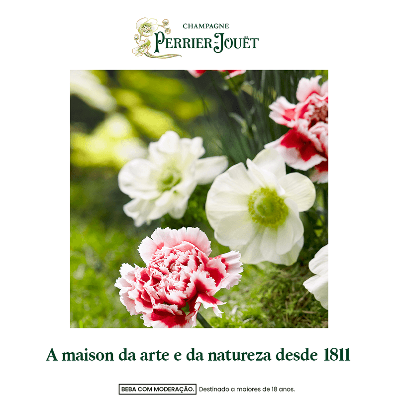 3113880105219_G_BB_ASSINAT_PJ_desBlancs