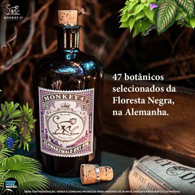 C-BB_DIF-1_Monkey47_A