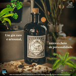 E-BB_DIF-3_Monkey47