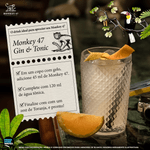 F-BB_DRINKABILITY_Monkey47